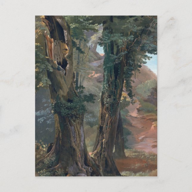 Old Elms, c.1835 Postcard (Front)