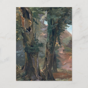 Old Elms, c.1835 Postcard