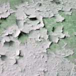 OLD ENGLAND PEELING PAINT    SKATEBOARD<br><div class="desc">A fun unique,  modern design of  paint peeling on a old English cottage wall.</div>