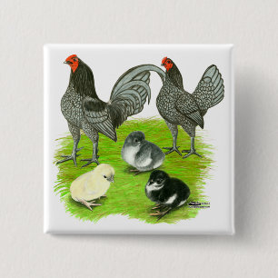 Old English Blue Game Family 15 Cm Square Badge