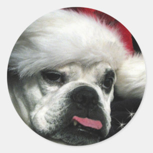 Old English Bulldog Christmas Classic Round Sticker