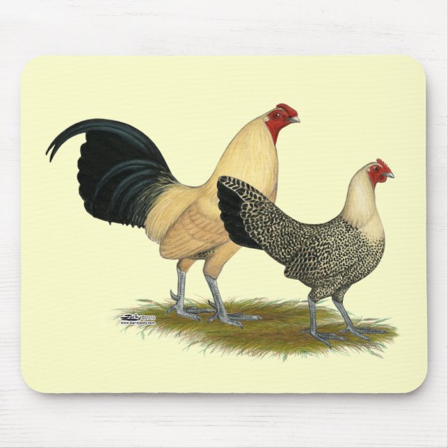 Old English Cream Buttercups Mouse Mat (Front)