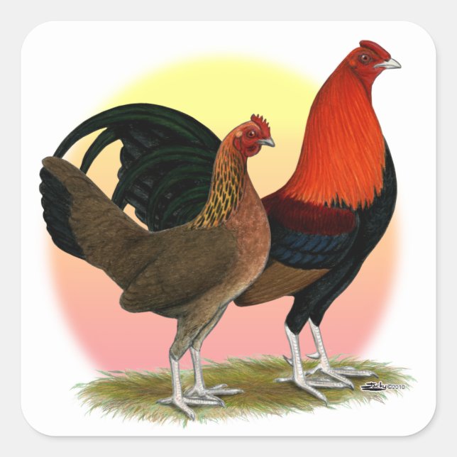 Old English Game Bantam:  BB Red Square Sticker (Front)