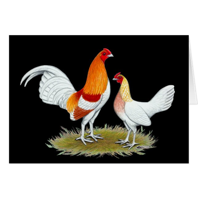 Old English Game Bantam:  Red Pyle (Front Horizontal)