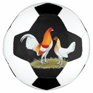 Old English Game Bantam: Red Pyle Football