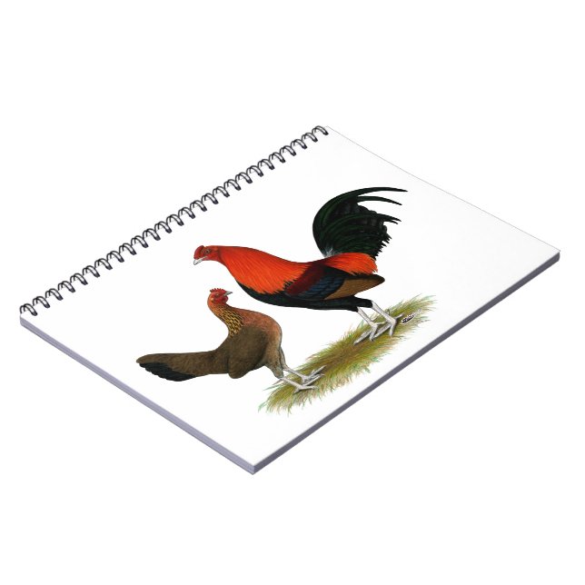 Old English Game Bantams:  BB Red Pair Notebook (Left Side)