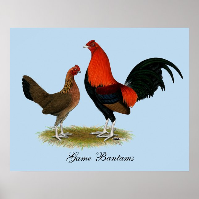 Old English Game Bantams:  BB Red Pair Poster (Front)