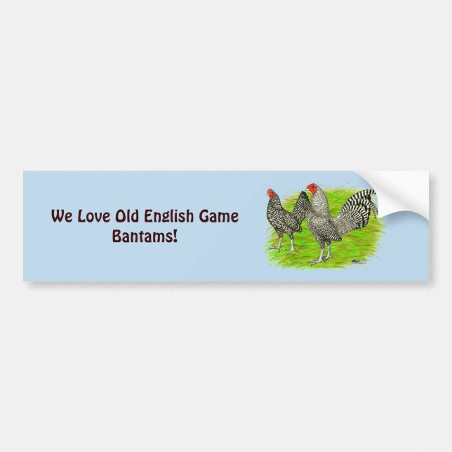 Old English Game Barred Chickens Bumper Sticker (Front)