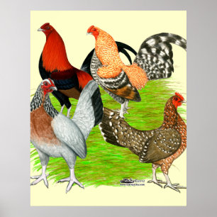 Old English Game Quartet Poster