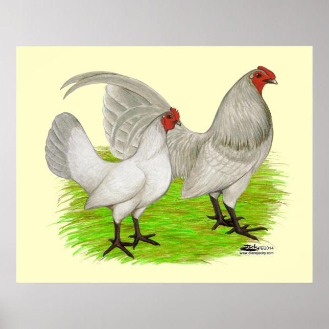 Old English Game Self Blue Poster (Front)