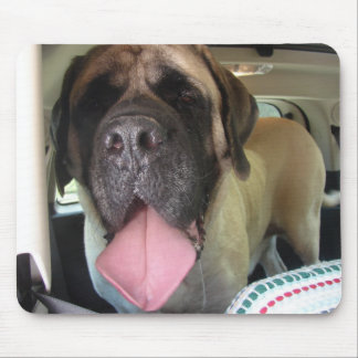 Old English Mastiff Mouse Pad