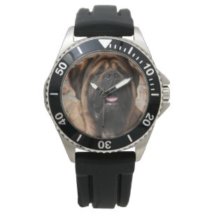 old english Mastiff Watch