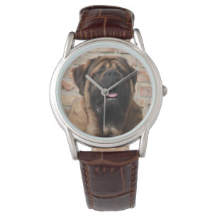 old english Mastiff Watch