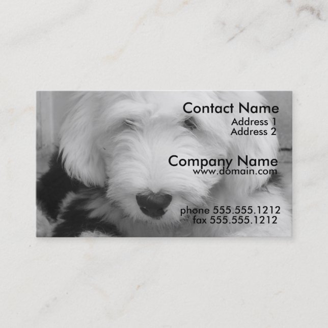 Old English Sheep Dog Business Card (Front)