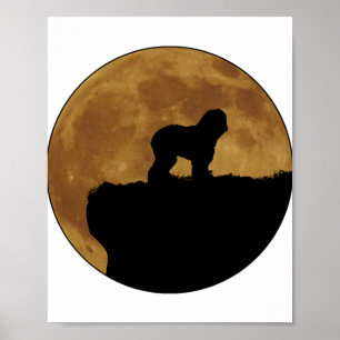 Old English Sheepdog 1 Poster