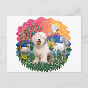 Old English Sheepdog #6 Postcard