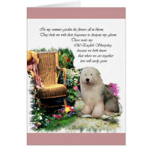 Old English Sheepdog Art Gifts