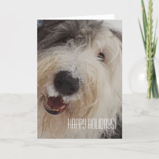 Old English Sheepdog Card - Happy Holidays!