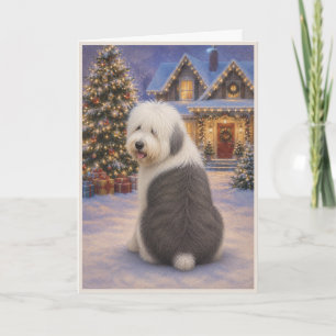 Old English Sheepdog Christmas Card