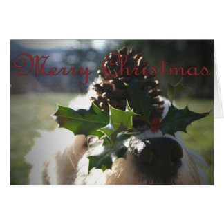 Old English Sheepdog Christmas Cards & Invitations 