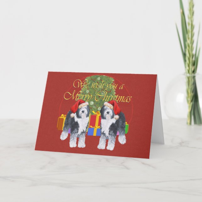 Old English Sheepdog Christmas Holiday Card (Front)