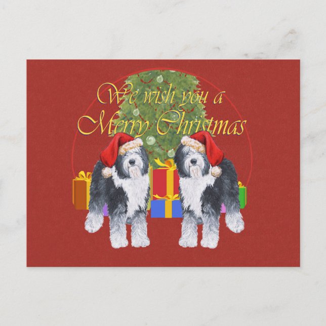 Old English Sheepdog Christmas Holiday Postcard (Front)