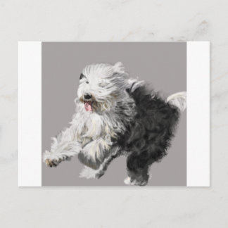 Old English Sheepdog - "Coming Through!" Postcard