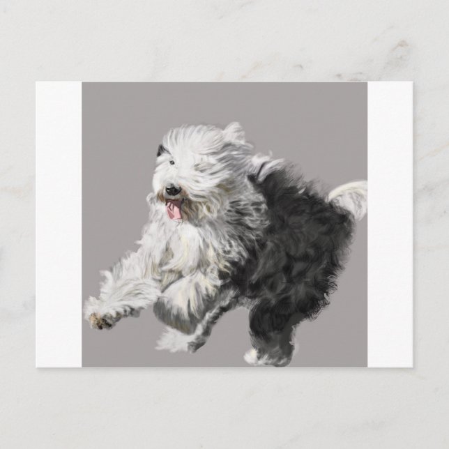 Old English Sheepdog - "Coming Through!" Postcard (Front)