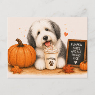 Old English Sheepdog Cozy Pumpkin Spice Postcard