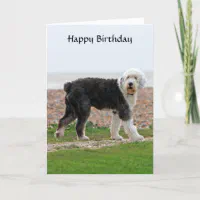 Happy 2024 birthday sheepdog