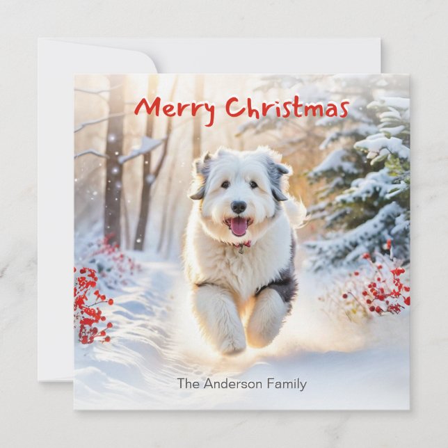 Old English Sheepdog Dog In Snow Merry Christmas Holiday Card (Front)