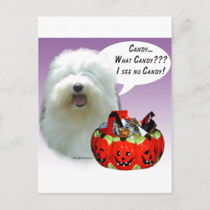 Old English Sheepdog Halloween Candy Postcard