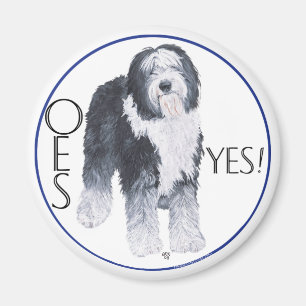 Old English Sheepdog Head Study Magnet