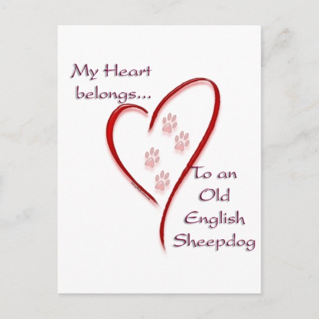 Old English Sheepdog Heart Belongs Postcard (Front)