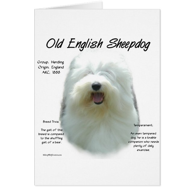 Old English Sheepdog History Design (Front)