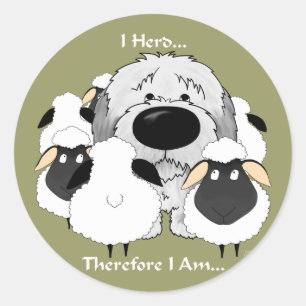 Old English Sheepdog - I Herd Therefore I Am Classic Round Sticker
