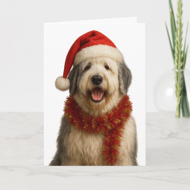 Old English Sheepdog in a Santa hat Christmas card (Front)