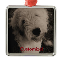 Old English Sheepdog