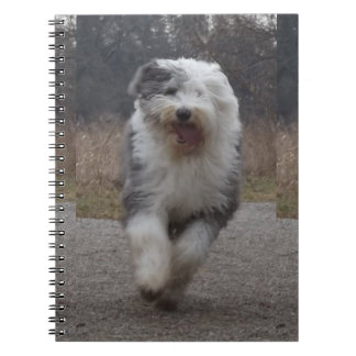 Old English Sheepdog Notebook - Run Dog!