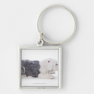 Old English Sheepdog on white background Key Ring