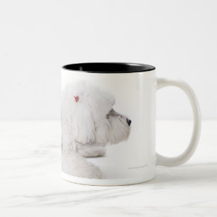 Old English Sheepdog on white background Two-Tone Coffee Mug