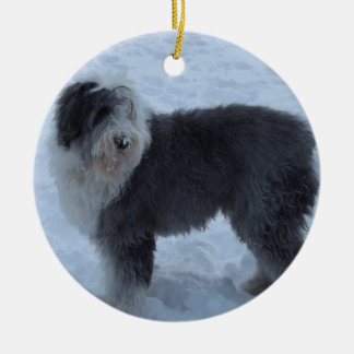Old English Sheepdog Ornament - Snow Dog!
