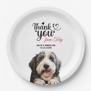 Old English Sheepdog Paper Plate