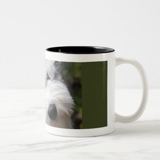 old english sheepdog pup Two-Tone coffee mug