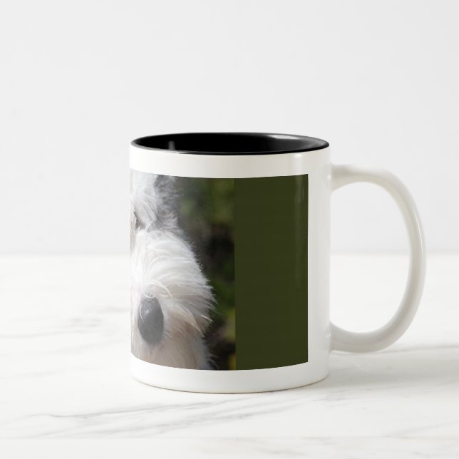 old english sheepdog pup Two-Tone coffee mug (Right)