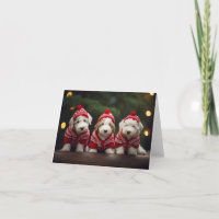 Old English Sheepdog Puppies Christmas Card
