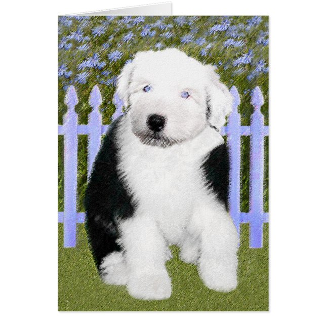 Old English Sheepdog Puppy Painting - Dog Art (Front)