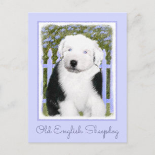 Old English Sheepdog Puppy Painting - Dog Art Postcard