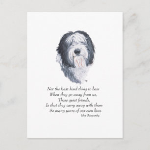 Old English Sheepdog Rainbow Bridge Postcard