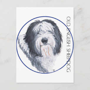 Old English Sheepdog Rondelle Postcard